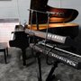 Photo of Piano Nation