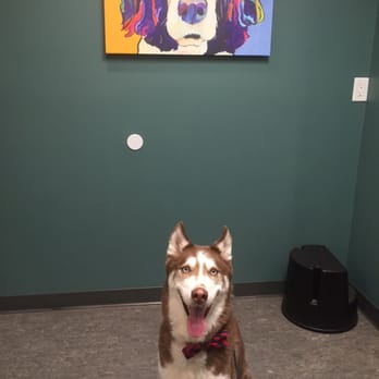 Ansley Animal Clinic - Happy pup waiting for Dr. Scott! - Veterinarians Near Me - Atlanta, Georgia