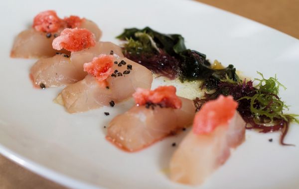 Passionfish by null