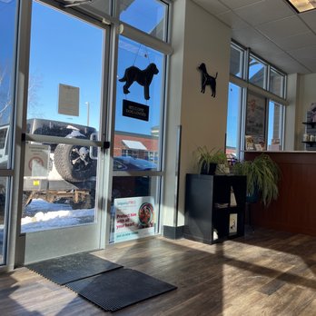 Animal Care Clinic - Very clean and great staff!!! - Veterinarians Near Me - Vancouver, Washington Animal Care Clinic - Very clean and great staff!!! - Veterinarians Near Me - Vancouver, Washington