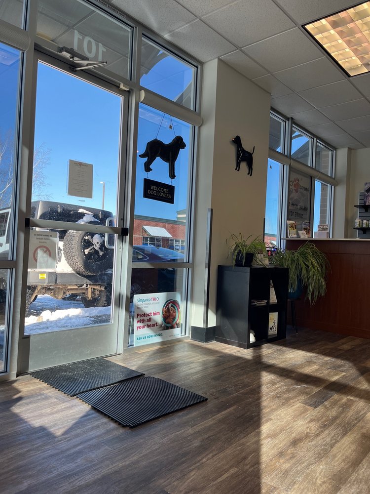 ANIMAL CARE CLINIC Updated October 2024 17 Photos & 47 Reviews