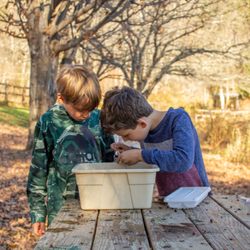 Berkshire Country Day School - Third/Fourth Grade Science with Mr. Gore at Barrett Pond