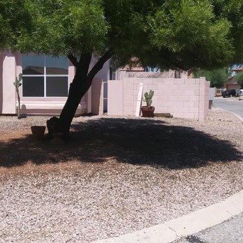 Quality Touch Landscaping - a tree in front of a house - Landscaping Near Me Quality Touch Landscaping - a tree in front of a house - Landscaping Near Me