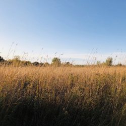 Flushing Township Nature Park