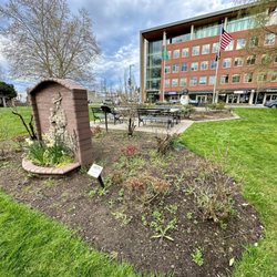 Pioneer Park - 4/2/24