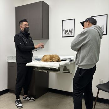 Sunset Veterinary Center - Dad with Doc - Veterinarians Near Me - Diamond Bar, California
