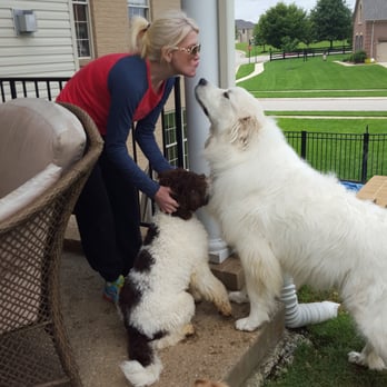 Fetch! Pet Care - Oscar and Lucille - Pet Sitting Near Me - Lousville, Kentucky Fetch! Pet Care - Oscar and Lucille - Pet Sitting Near Me - Lousville, Kentucky