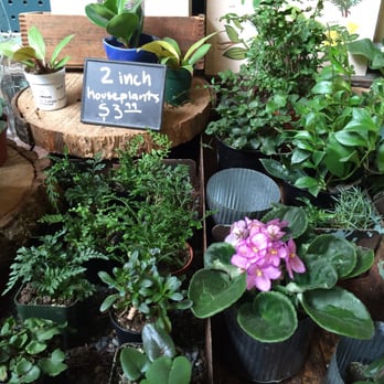 Flowerland - Nurseries & Gardening Near Me - Albany, California Flowerland - Nurseries & Gardening Near Me - Albany, California