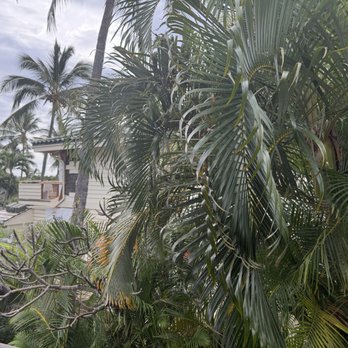 Suite Paradise - What we got advertised as peak a boo view and foul construction next door! - Vacation Rentals Near Me - Poipu Beach, Hawaii