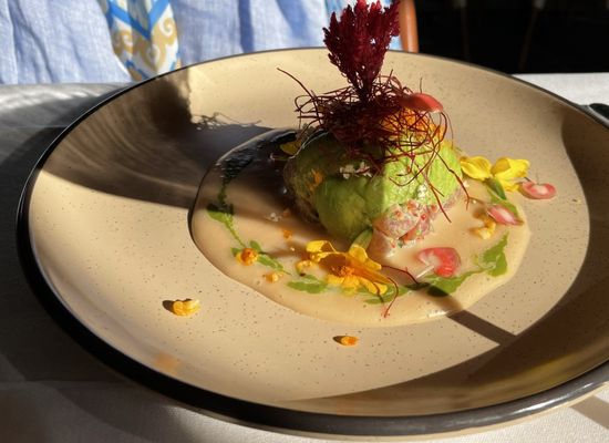 Jansen by null Jansen by null