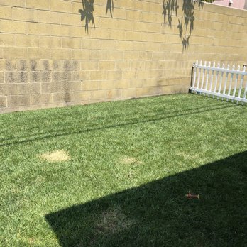 Green Forever - Landscaping Near Me - Hesperia, California