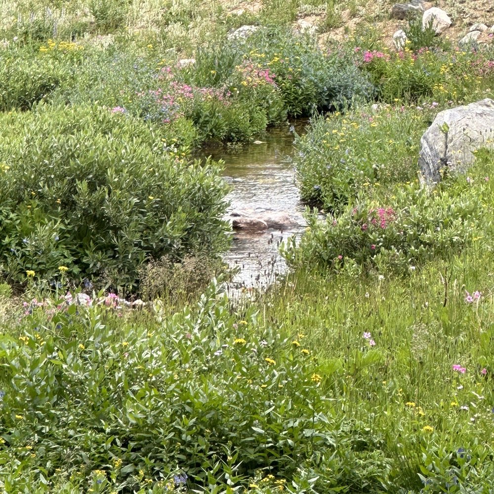 Beehive Basin Trail - Hiking Near Me - Big Sky, Montana Beehive Basin Trail - Hiking Near Me - Big Sky, Montana