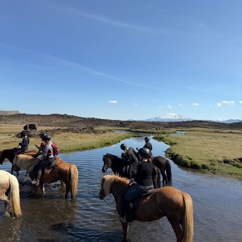 Riding Wild - Community Service/Non-Profit Near Me Riding Wild - Community Service/Non-Profit Near Me