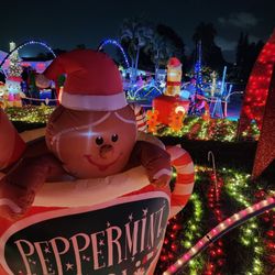 McGonigle-Collins Christmas Display