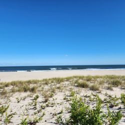 Borough of Surf City