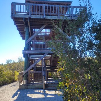 Neal Preserve - Obsevation Tower - Parks Near Me - Bradenton, Florida