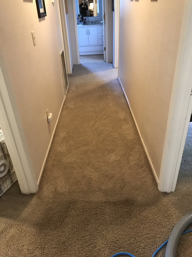 CARPET RESTORATION COMPANY Updated October 2024 14 Photos & 14