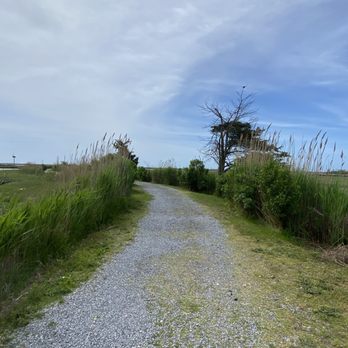 Marine Nature Study Area - Parks Near Me - Oceanside, New York