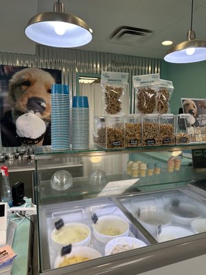 Salty Paws Doggy Ice Cream Bar And Bakery by null
