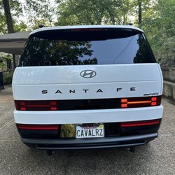 Tintwell Tint & Detail Plus - Rear glass
