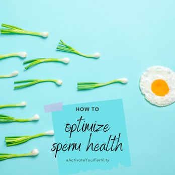 Micheline Samaan - Just as it's important to optimize egg health, sperm health is EQUALLY important.  Visit: https://www.instagram.com/p/CEuuL0Yjj-p/ - Nutritionists Near Me