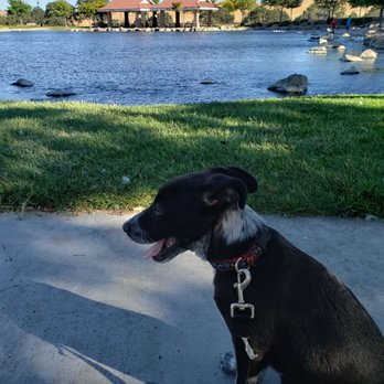 Barney Schwartz Park - Such a beautiful park - Stadiums & Arenas Near Me - Paso Robles, California