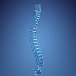 Spineworks Chiropractic Wellness Center