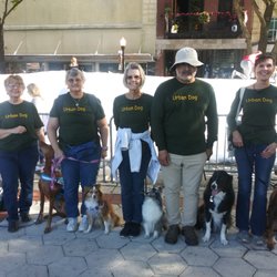 Imperial Polk Obedience Club - Wonderful dog training club