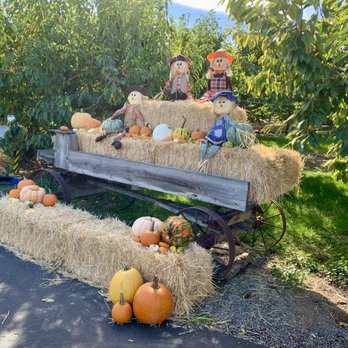 Washington Fruit Place At Barrett Orchards - Autum fun. - Fruits & Veggies Near Me - Yakima, Washington Washington Fruit Place At Barrett Orchards - Autum fun. - Fruits & Veggies Near Me - Yakima, Washington