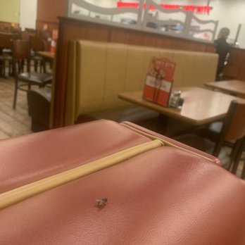 Denny's - flies all over the restaurant when I was eating at night - American Near Me - Soledad, California Denny's - flies all over the restaurant when I was eating at night - American Near Me - Soledad, California