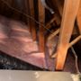 Photo of Atticity