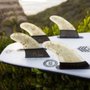 Photo of AU Fins
