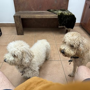 Veterinary Cardiopulmonary Care Center - Veterinarians Near Me - Pompano Beach, Florida Veterinary Cardiopulmonary Care Center - Veterinarians Near Me - Pompano Beach, Florida