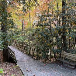 Cradle of Forestry in America Historic Site & Discovery Center