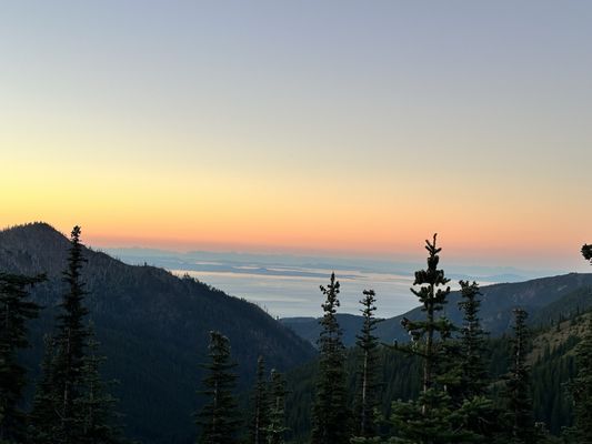 Hurricane Ridge by null