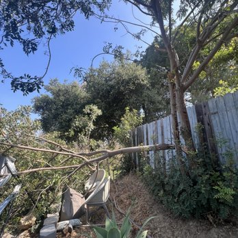 Green Leaf Landscaping - Before - Tree Services Near Me Green Leaf Landscaping - Before - Tree Services Near Me