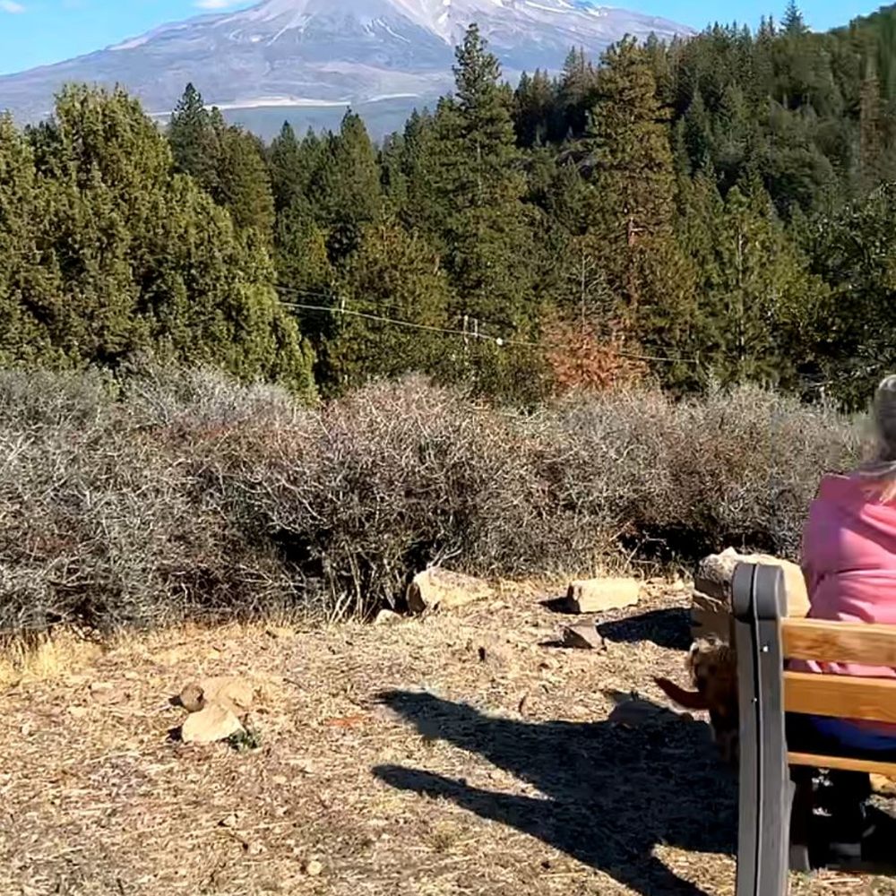 Trailer Lane Campground - View on top of the hill - RV Parks Near Me - Weed, California Trailer Lane Campground - View on top of the hill - RV Parks Near Me - Weed, California