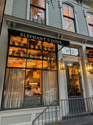 Elephant and The Dove by null