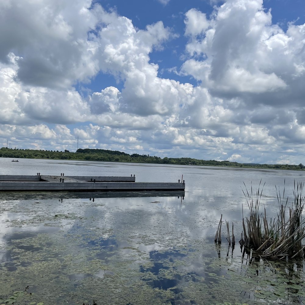Palmer Park - Parks Near Me - Port Perry, Ontario Palmer Park - Parks Near Me - Port Perry, Ontario