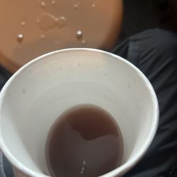 Wy'East Cafe - Hot cocoa