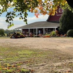 Deer Lake Orchard - Main barn