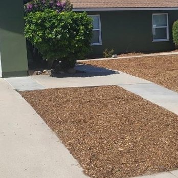 Ever Green Landscaping - After the dead scrub removed - Landscaping Near Me - San Diego, California Ever Green Landscaping - After the dead scrub removed - Landscaping Near Me - San Diego, California
