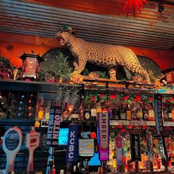 Rose’s R&R Bar - Behind the bar