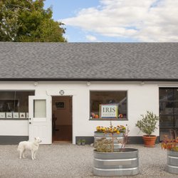 Iris Gallery of Fine Art - Iris Gallery at 80 Railroad St, Great Barrington, MA in the Berkshires