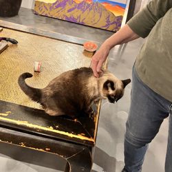 Blue art gallery cat