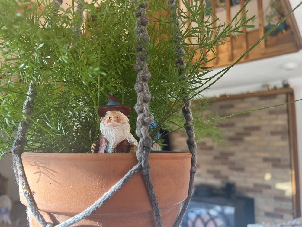 SHELBURNE FARM AND GARDEN Updated September 2024 355 Mohawk Trl