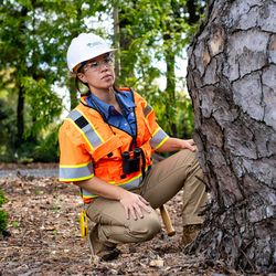 Bartlett Tree Experts - Delta