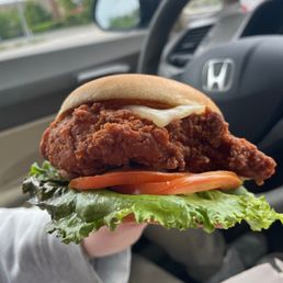 Spicy Deluxe Sandwich