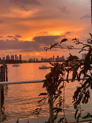 Pamplemousse on the Bay by null