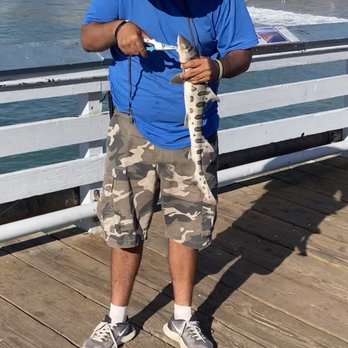 San Clemente Pier - Baby shark - Beaches Near Me - San Clemente, California San Clemente Pier - Baby shark - Beaches Near Me - San Clemente, California